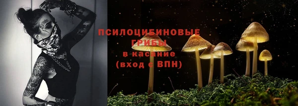кристаллы Осинники