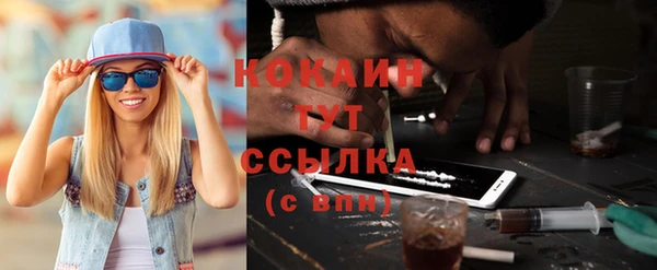 спайс Губаха
