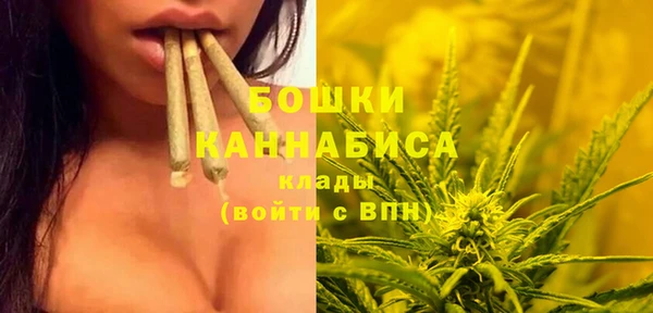 прущий лед Осташков