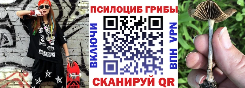 Галлюциногенные грибы MAGIC MUSHROOMS  где купить наркоту  Нефтекумск 
