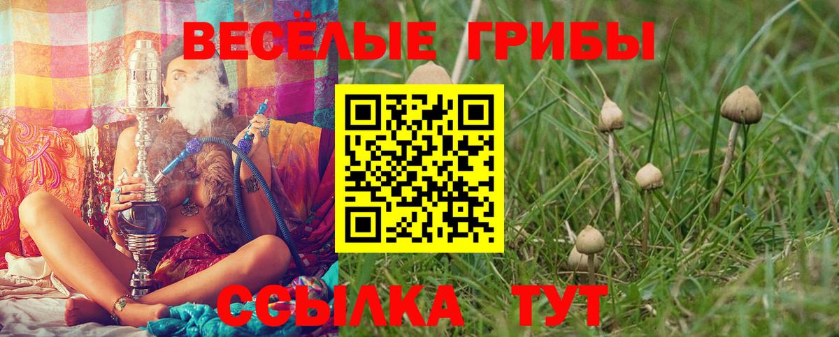 Галлюциногенные грибы MAGIC MUSHROOMS Нефтекумск