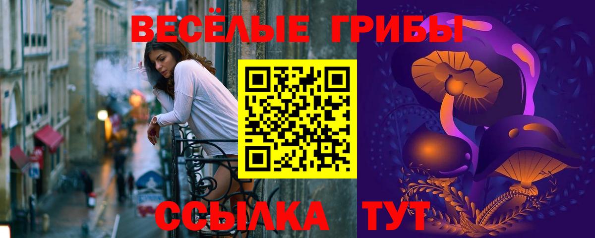 Галлюциногенные грибы Magic Shrooms  Нефтекумск 