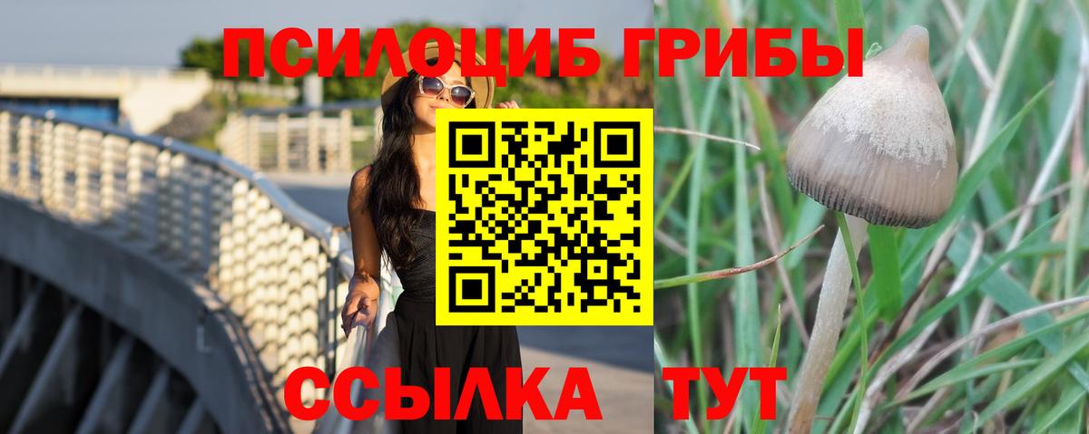 Нефтекумск  Галлюциногенные грибы Cubensis  Вход с VPN  Псилоцибиновые грибы MAGIC MUSHROOMS 